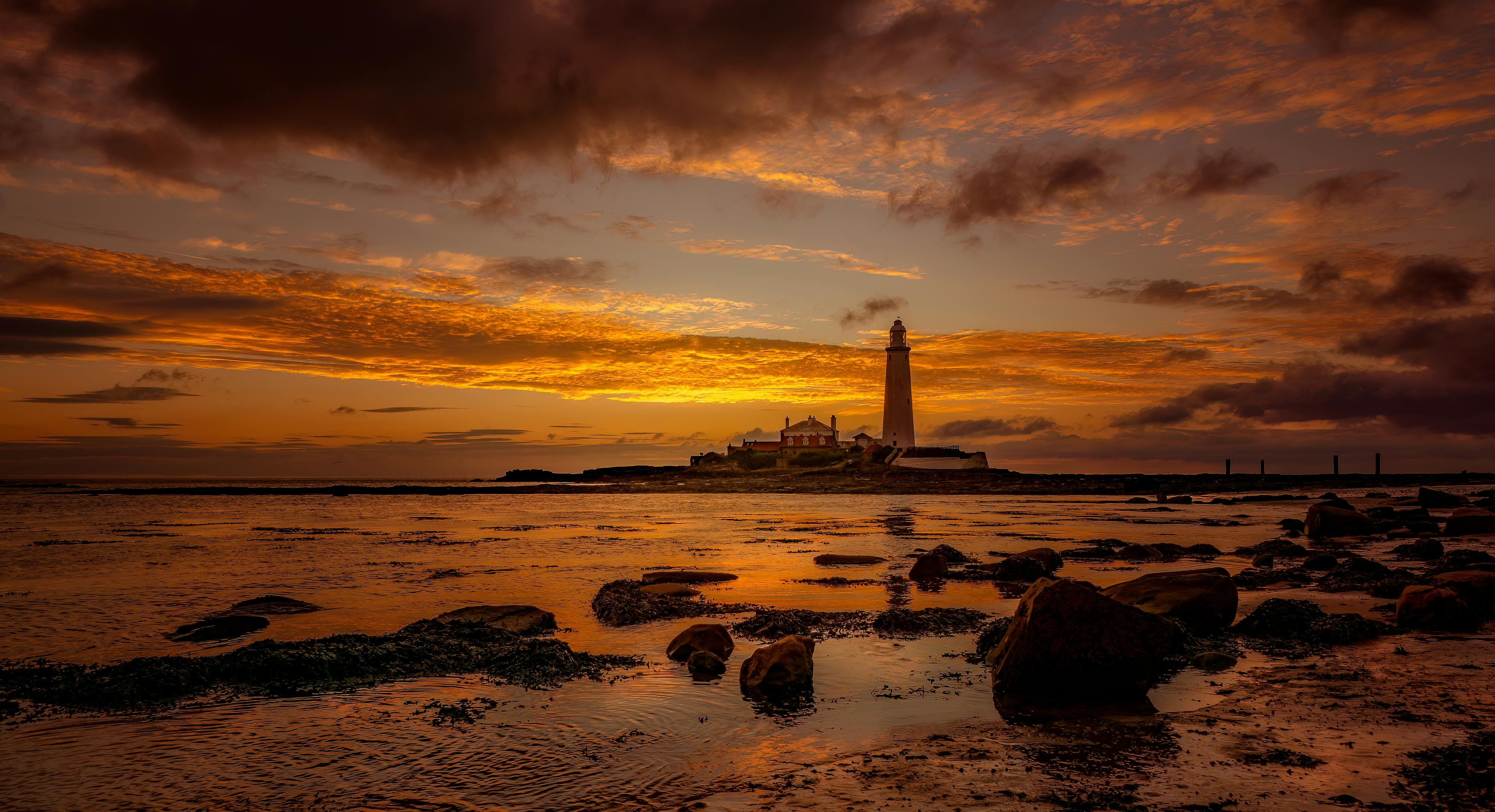 Contact and collaboration